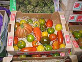 Großmarkt Rungis, Tomatenangebot