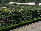 Versailles, Le potager du roi