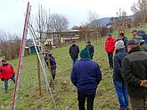 2018 Winterschnitt Bild 6