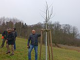 2018 Winterschnitt Bild 12