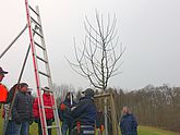 2018 Winterschnitt Bild 13